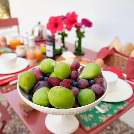 بيت ضيافة Branca - Palacete فيغيورا دا فوز