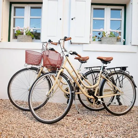 Casa de hóspedes Branca - Palacete 4*