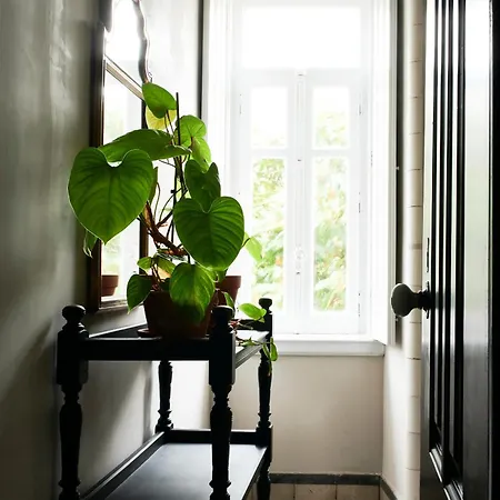 Branca - Palacete 4* Figueira da Foz