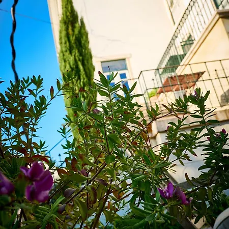 Branca Palacete Guest house Figueira da Foz