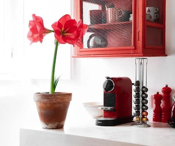 Branca - Palacete Gasthof 4*